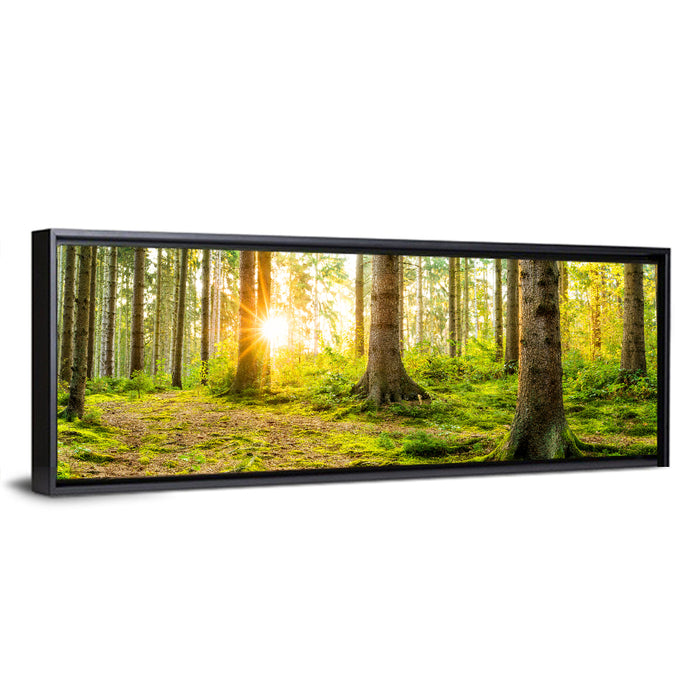 Sunburst Over Mossy Forest Wall Art as a framed canvas