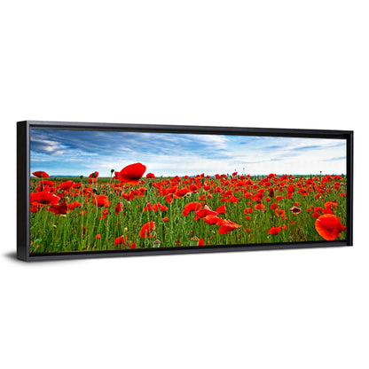 Red Poppy Field Wall Art