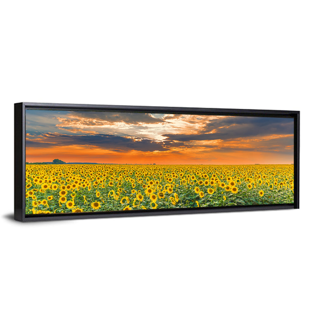 Golden Hour Sunflower Field Wall Art