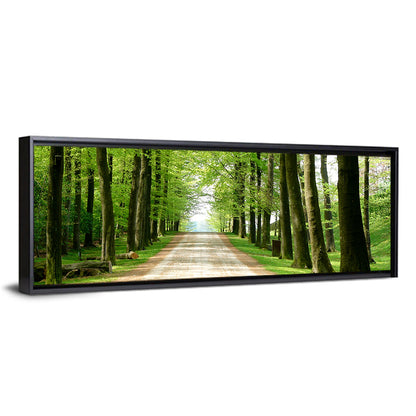 Sunlit Tree-lined Path Wall Art
