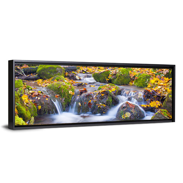 Mossy Autumn Stream Wall Art as a framed canvas
