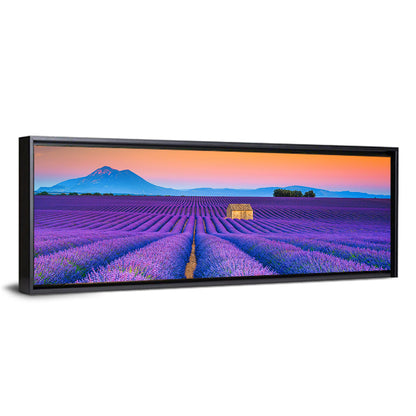 Valensole Lavender Fields at Sunset Wall Art