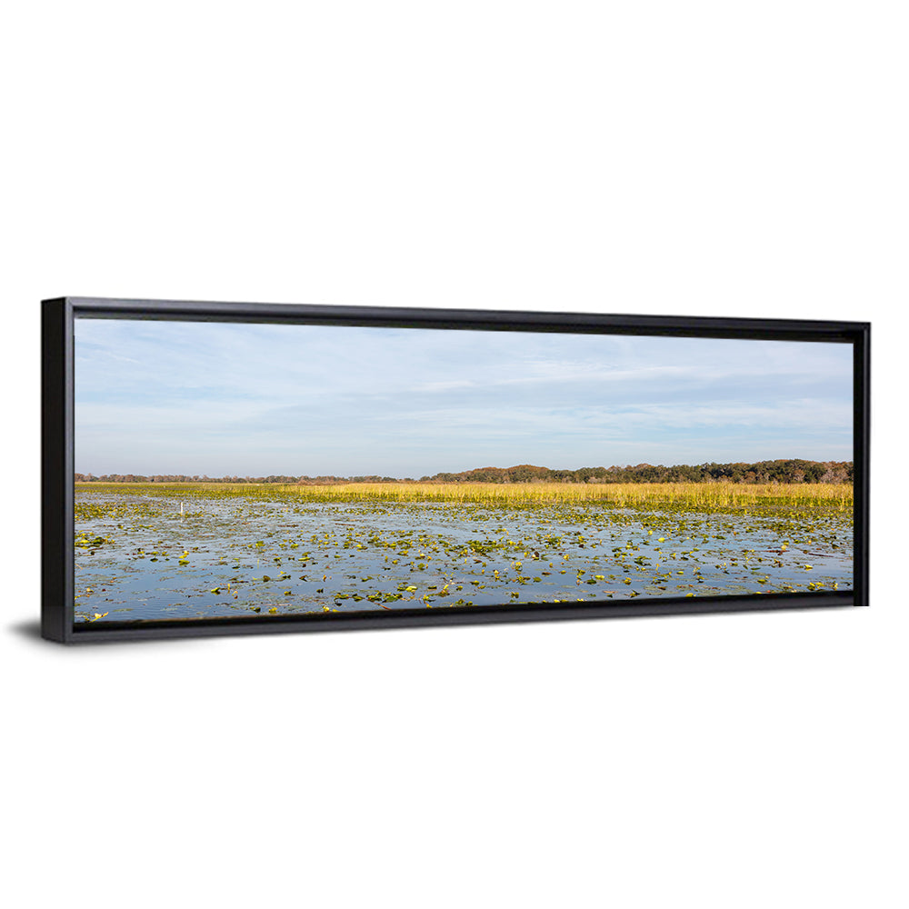 Lake Toho Lily Pads Wall Art