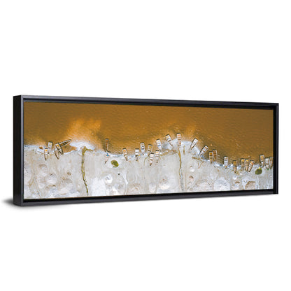 Lac Rose Salt Flats Senegal Wall Art