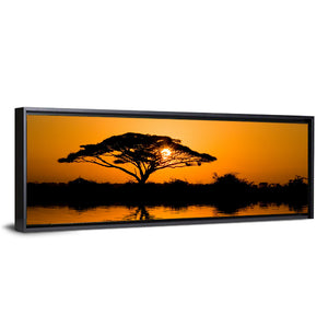 Acacia Tree at Sunrise Wall Art