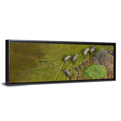 Aerial Herd of Elephants Wall Art