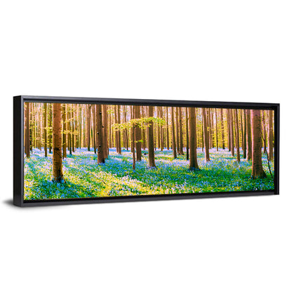 Hallerbos Bluebell Forest Wall Art