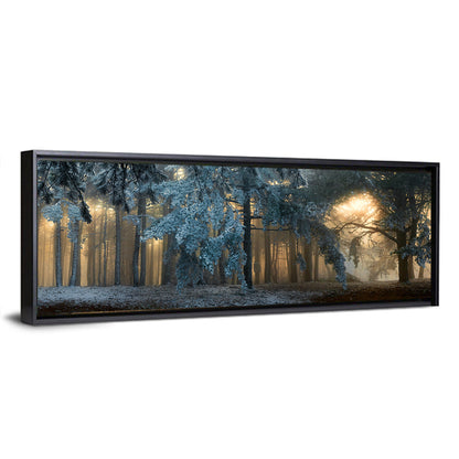 Sunlit Snow Covered Forest Wall Art