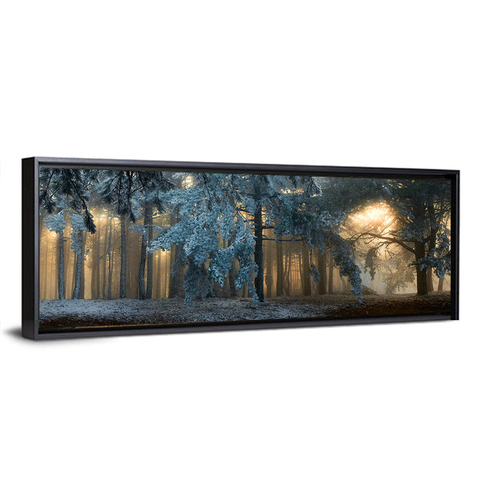Sunlit Snow Covered Forest Wall Art as a framed canvas