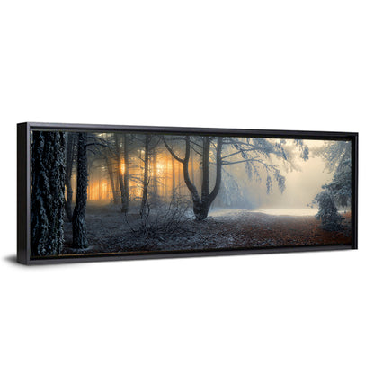 Frosted Forest Morning Light Wall Art