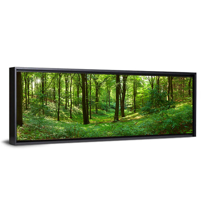 Sunlit Green Woodland Wall Art