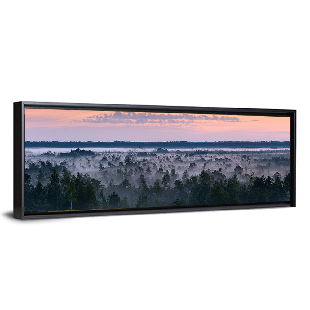 Estonian Misty Pine Landscape Wall Art