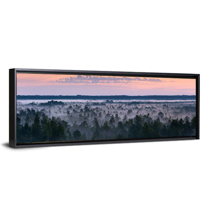 Estonian Misty Pine Landscape Wall Art