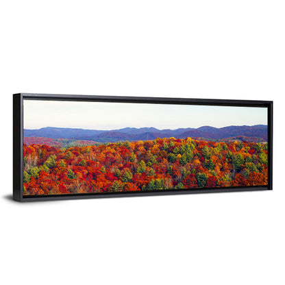 Autumn in the Appalachian Forest Wall Art