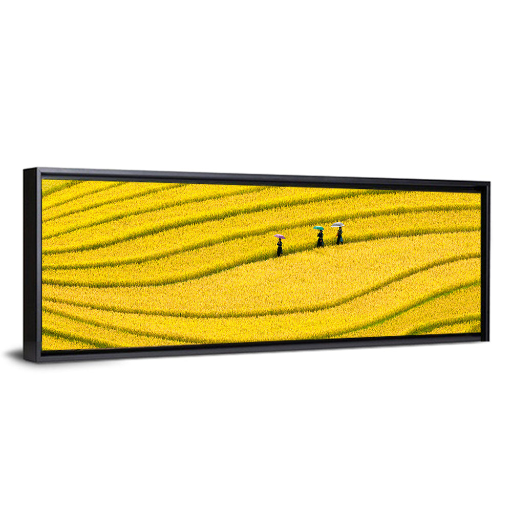 Golden Rice Terraces with Umbrellas Wall Art