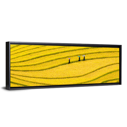 Golden Rice Terraces with Umbrellas Wall Art