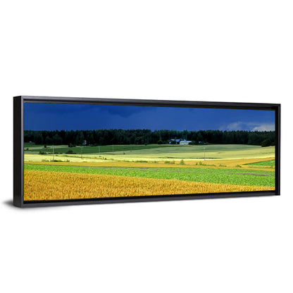 Cornfields Under Stormy Sky Wall Art
