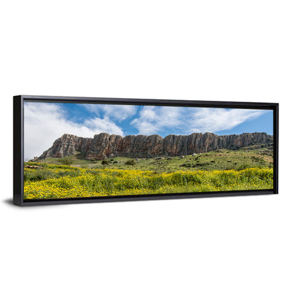 Mount Arbel Wildflower Meadow Wall Art