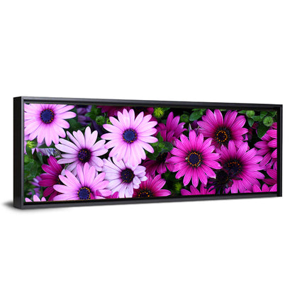 Pink and Purple Daisies Wall Art