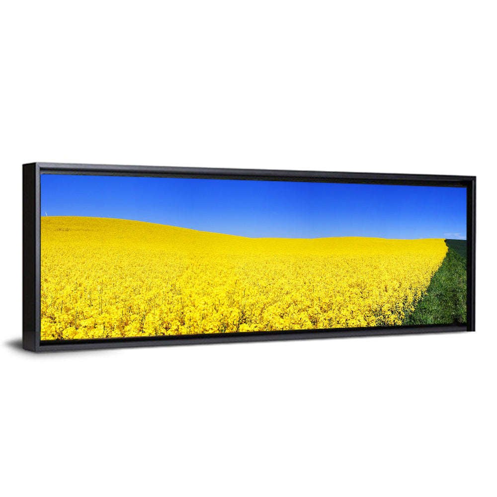 Sunlit Rapeseed Field Wall Art