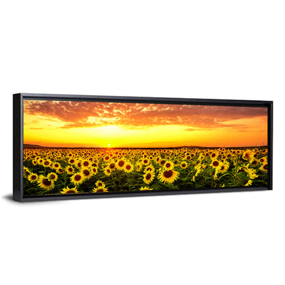 Sunflower Field Sunset Wall Art