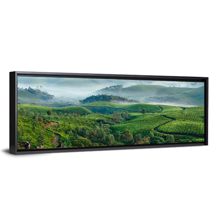 Kerala Tea Fields Wall Art as a framed canvas