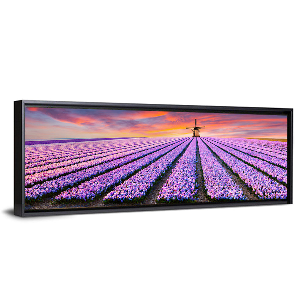 Hyacinth Field at Sunset Wall Art