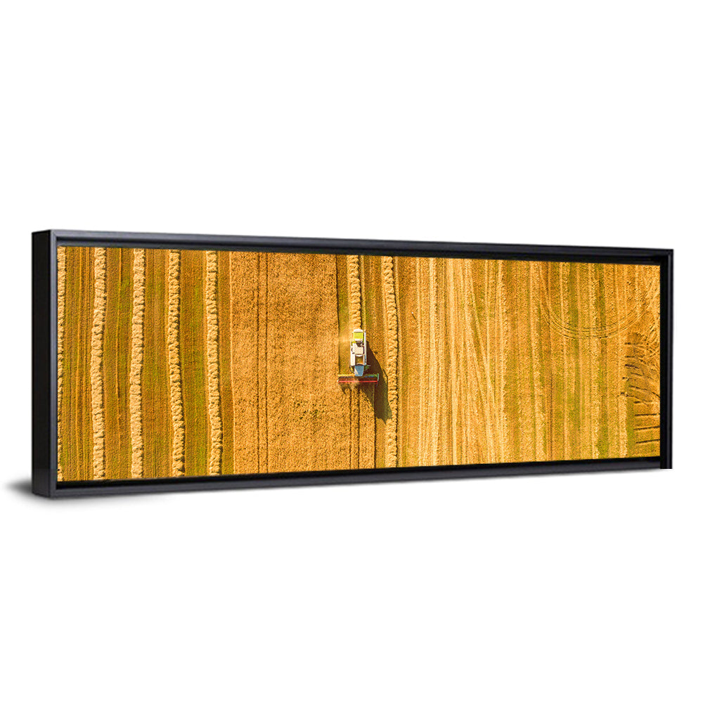 Aerial Wheat Harvest Wall Art
