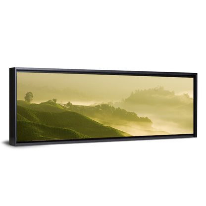 Tea Plantation Morning Mist Wall Art