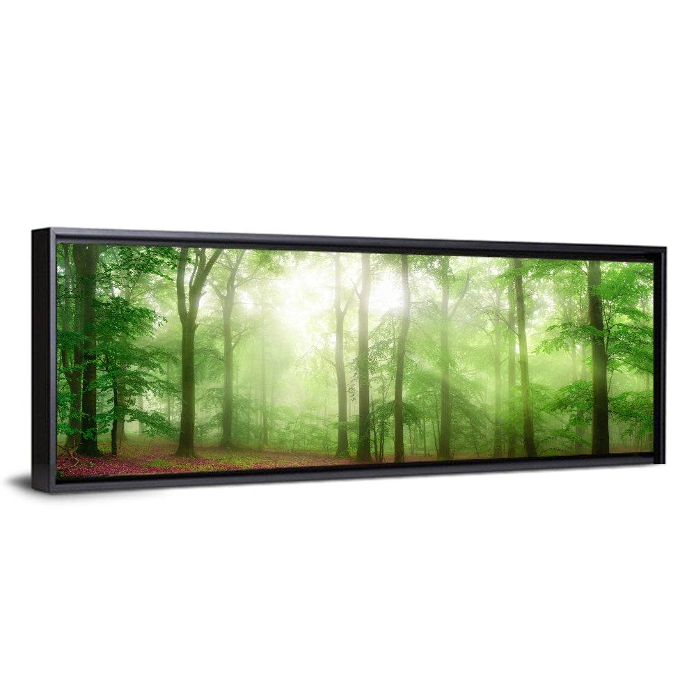 Foggy Forest Wall Art