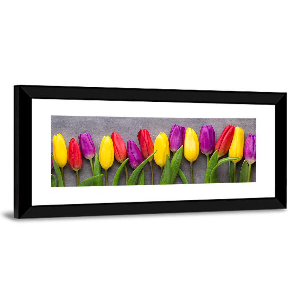 Row of Multicolored Tulips Wall Art