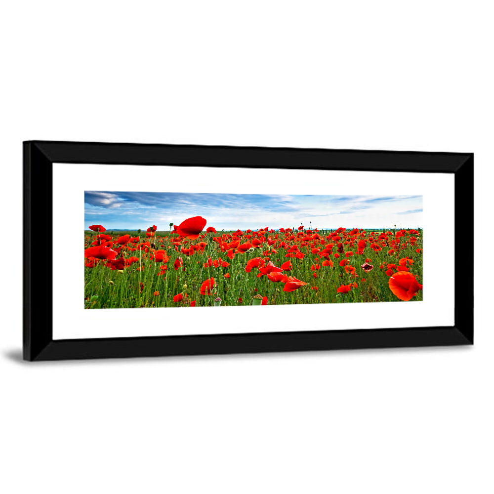 Red Poppy Field Wall Art