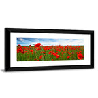 Red Poppy Field Wall Art