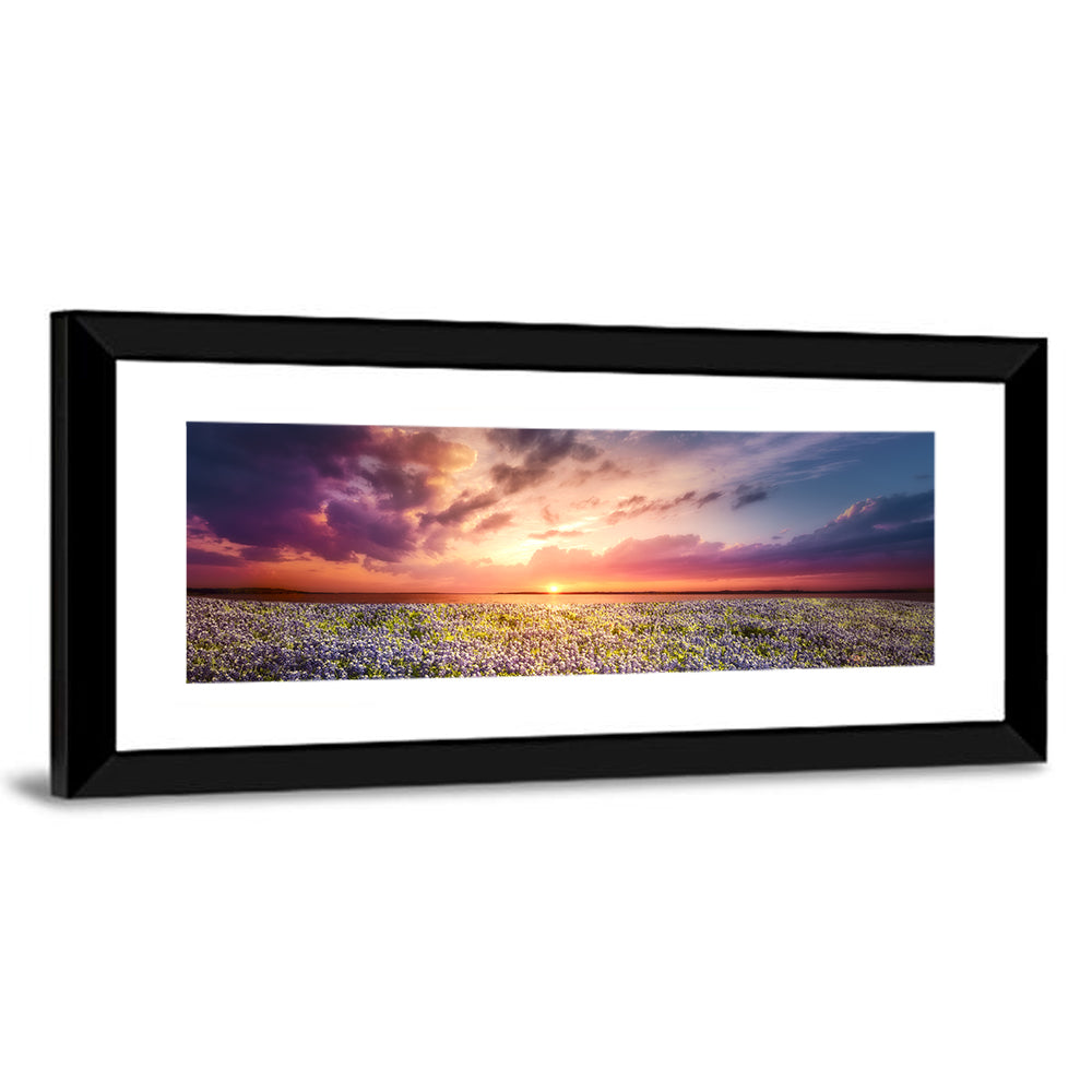 Texas Bluebonnet Sunset Wall Art