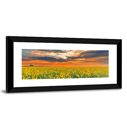 Golden Hour Sunflower Field Wall Art