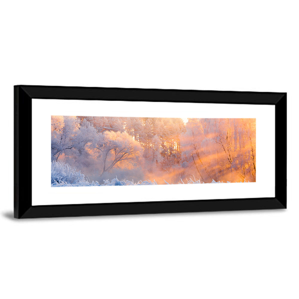 Sunlit Winter Forest Wall Art