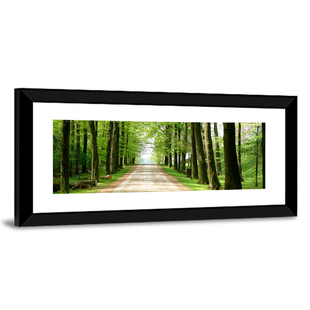 Sunlit Tree-lined Path Wall Art
