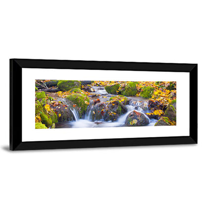 Mossy Autumn Stream Wall Art