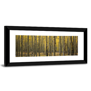 Colorado Aspen Forest Wall Art