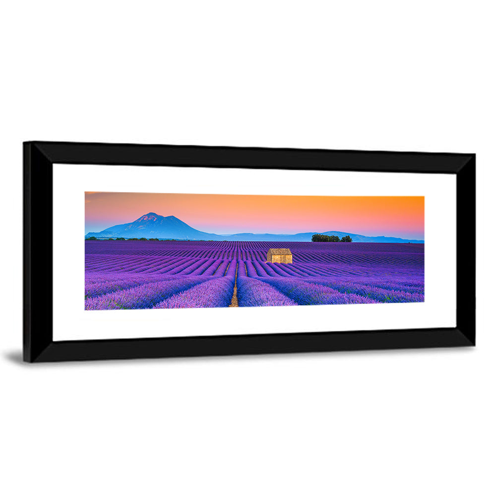 Valensole Lavender Fields at Sunset Wall Art