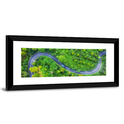 Blue Car on Summer Forest Road Wall Art