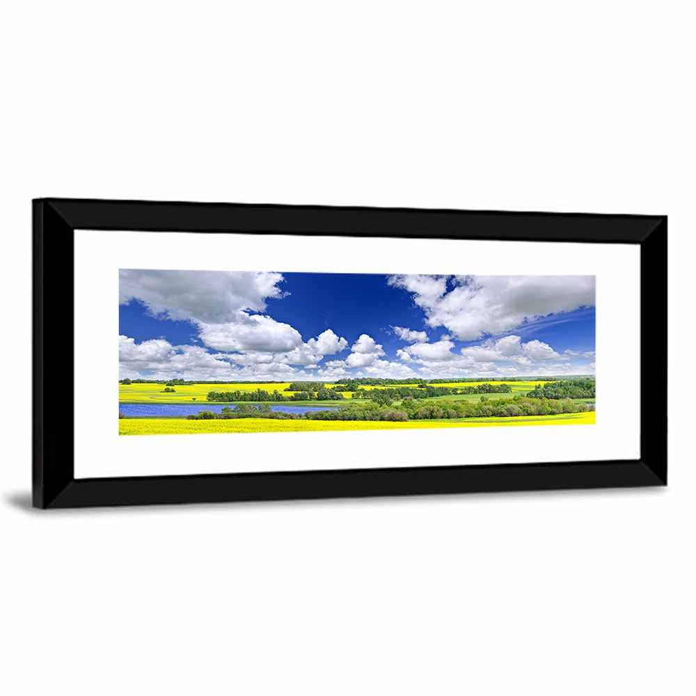 Saskatchewan Canola Field Wall Art