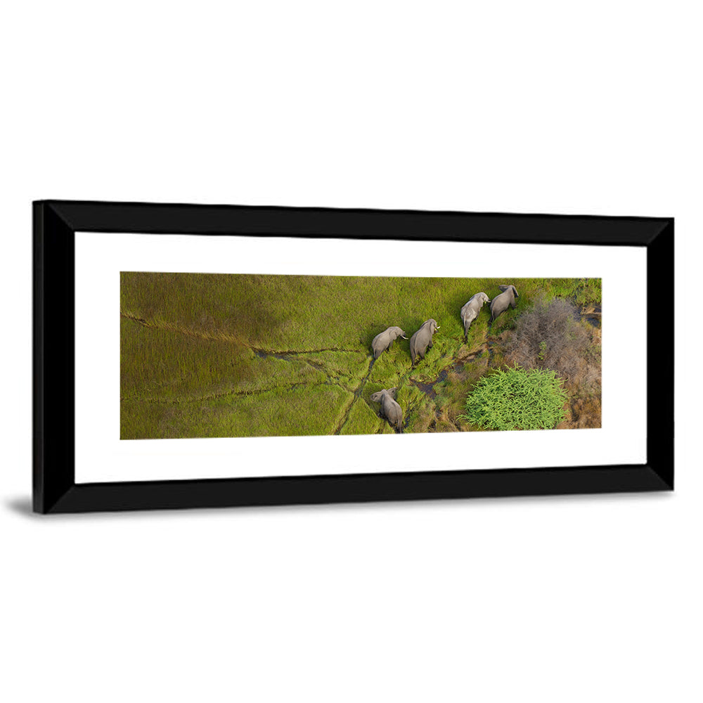 Aerial Herd of Elephants Wall Art