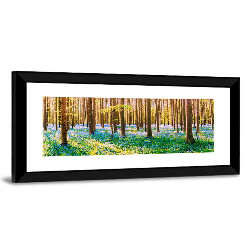 Hallerbos Bluebell Forest Wall Art
