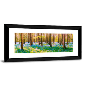 Hallerbos Forest Wall Art