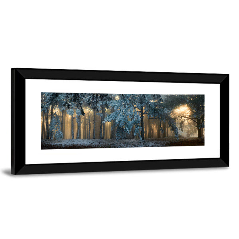 Sunlit Snow Covered Forest Wall Art