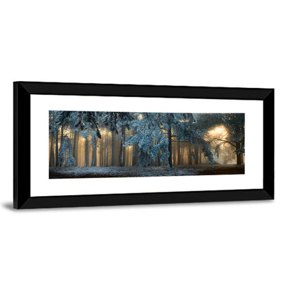 Sunlit Snow Covered Forest Wall Art