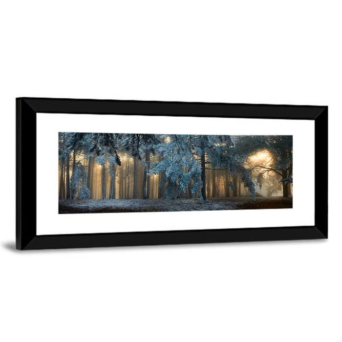 Sunlit Snow Covered Forest Wall Art as a framed print