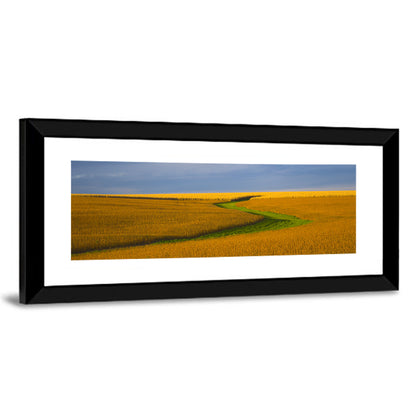 Golden Hour Soybean Field Wall Art