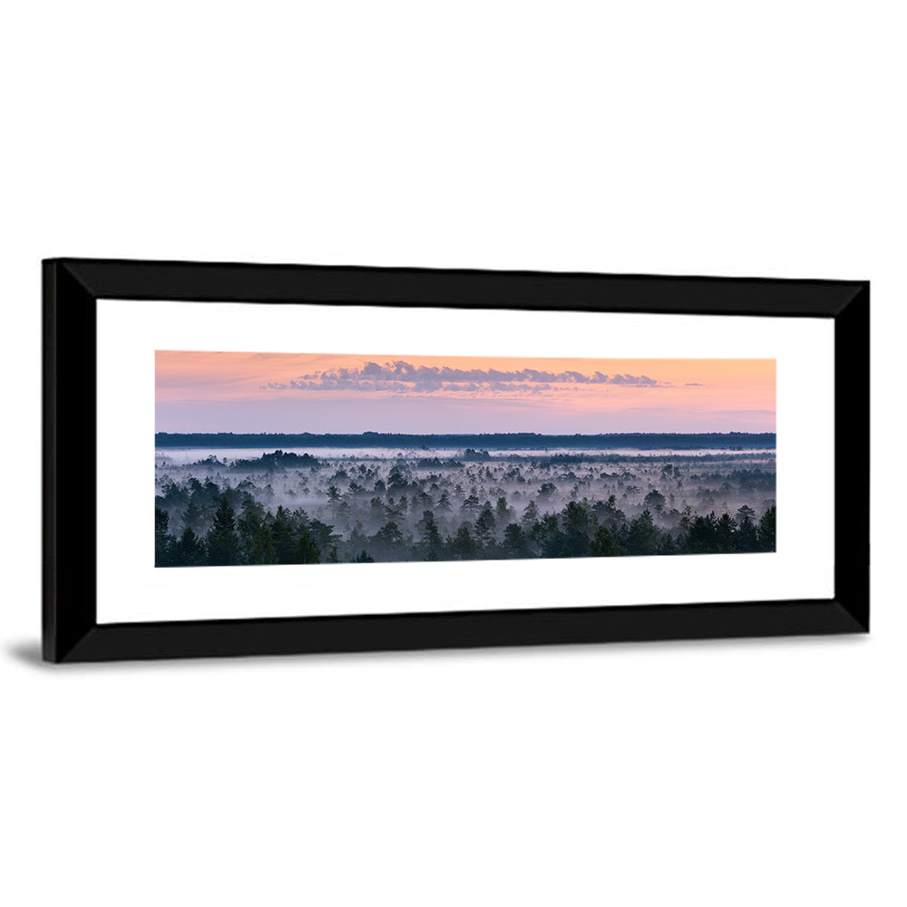 Estonian Misty Pine Landscape Wall Art
